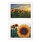 Homeroots Set Of Two Midwest Living 1 White Framed Print Wall Art, 2PK 407950 - alternate 1