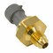 Motorcraft Exhaust Gas Recirculation (EGR) Pressure Sensor,  DPFE20 - alternate 1