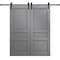 Sartodoors Modern Double Barn Door 56 x 96 inches, Ego 5012 Painted Grey Oak, 13FT Rail Track Set, Solid Pan EGO5012DB-SEK-5696 - alternate 1