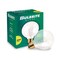 Bulbrite Incandescent Dimmable 40W Globe G25 Light Bulbs, Medium E26 Screw Base, 2700K, 24PK 861047 - alternate 4