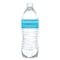 True Clear Purified Bottled Water, 16.9 oz Bottle, 2016PK TRC05L24PDMPBN - alternate 1