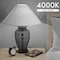 Luxrite A19 LED Light Bulb 60 Watt Equivalent, Non-Dimmable, 4000K Cool White, 800LM, Standard LED, 24PK LR21533 - alternate 6