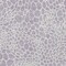 Homeroots 10' X 14' Lilac And Ivory Geometric Washable Indoor Outdoor Area Rug 595090 - alternate 7