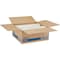 Dixie Plates, Ultra, 8-1/2, Pathways 4PK DXEUX9WSCT - alternate 5
