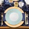 Smarty Had A Party 7.5" White with Turquoise Blue and Silver Mosaic Rim Round Plastic Salad Plates (120 Plates), 120PK 897TBS-CASE - alternate 8