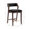 Manhattan Comfort Patricia Counter Stool  in Black - Set of 2 2-CS023-BK - alternate 6