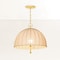 Hudson Valley Lighting Palmetto Pendant in Aged Brass by Cortney Bishop CB5851-AGB - alternate 4