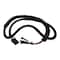 Agco WIRING HARNESS, AGCO OEM 113618M1 113618M1 - alternate 1