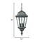 Homeroots Two Light Antique Black Carousel Lantern Hanging Light 398011 - alternate 3