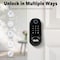 Wrightmaster 5-in-1 Aluminum Smart Pad Lock with Palm Vein Recognition, App Control, IC Card, Auto-Lock ZR-AF06 - alternate 8