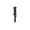 Fcs Struts Suspension Strut And Coil Spring Assembly 2333532L - alternate 1