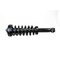 Hella PERFORMANCE LEVELING STRUT - F150 2009-13 358512031 - alternate 2