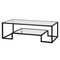 Homeroots 54" Black Glass And Steel Coffee Table With Shelf 521998 - alternate 8