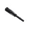 Fcs Struts Suspension Strut And Coil Spring Assembly 2335527L - alternate 4