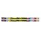 Musgrave Pencil Co 100th Day Of School Motivational Pencils, 144PK MUS2489G - alternate 3