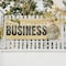 Signmission Veteran Owned Business, 36 Inch x 96 Inch, Vinyl Banner B-96-30915 - alternate 3