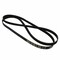 Motorcraft Serpentine Belt,  JK61013AD - alternate 2