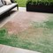 Homeroots 5' X 8' Pink And Green Abstract Washable Indoor Outdoor Area Rug 604816 - alternate 1