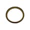 Cnh GASKET, CNH OEM 166168A1 166168A1 - alternate 2