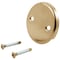 Delta Other Overflow Plate & Screws - No Trip Lever RP31556CZ - alternate 1