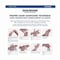 Sani Professional PDI Sani-Hands Instant Hand Sanitizing Wipes, 7.5 x 6, Unscented, White, 220 Wipes, 6PK NPKP15984 - alternate 7