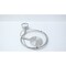 Wika DIAPHRAGM SEAL PRESSURE GAUGE 5-1/4IN 4IN 0-300PSI 233.30.100 14261602 - alternate 1
