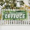 Signmission Farm Fresh Lettuce, 24 Inch x 72 Inch, Vinyl Banner B-72-30600 - alternate 4