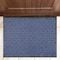 Floortex Doortex Ribmat Entrance Mat, Blue - 32" x 48" NREMFLLR0030 - alternate 1