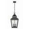 Z-Lite Raphael Sand Black 3 Light Outdoor Chain Mount Ceiling Fixture 5029CHB-BK - alternate 5