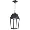 Nuvo Colt, 10 Watt, LED Hanging Pendant, Matte Black Finish 62/2314 - alternate 1