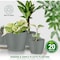 Lifemaster Planter Pots with Drainage Holes, Lightweight, Durable, Space-Saving, Gray, 20PK LMFLOPGRY520 - alternate 5