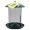 Zenport Hanging Bird Seed Screen Feeder Z203010 - alternate 5