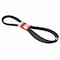 Motorcraft Serpentine Belt,  JK81413 - alternate 4