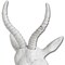 Homeroots Dugaleon VII White Ibex Coat Hook 12" X 6" White Ibex Resin Hanging Dimensional Sculpture w/ Hooks 608669 - alternate 4