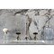 Kingston Brass Widespread Bathroom Faucet with Brass Pop-Up, Polished Nickel KS2986PKX - alternate 5