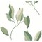 York Wallcoverings Brushwork Branches Leaf Green Wallpaper ZM2872 - alternate 1