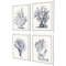Homeroots Set Of Four Blue Antique Coral White Framed Print Wall Art, 4PK 525714 - alternate 5