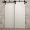 Sartodoors Sliding Closet Barn Bypass Doors 60 x 96 inches, Ego 5000 Painted White Oak, Modern 6.6ft Rails Ha EGO5000BBB-PWO-6096 - alternate 4