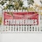 Signmission Fresh Strawberries, 36 Inch x 96 Inch, Vinyl Banner B-96-30659 - alternate 4
