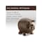 Krylon Paint+Primer Spray Paint Fusion All-In-One Metallic Dark Copper 12 oz Dark Copper K02767007 - alternate 5