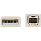 Tripp Lite SAFE-IT USB-A TO USB-B ANTIBAC U022AB-010-WH - alternate 4