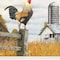 Homeroots Down on the Farm II White Framed Print Wall Art 415976 - alternate 4