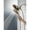 Delta Universal Showering Components In2ition 5-Setting Two-In-One Shower 58569-CZ-PR-PK - alternate 4
