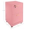 Lavish Home 2 Drawer Wood File Cabinet Filing Cabinet with Lock Rolling File Cabinet for Under Desk Storage 80-FC-4-PK - alternate 11
