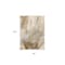 Homeroots 8' X 10' Brown Abstract Washable Non Skid Indoor Outdoor Area Rug 559574 - alternate 8