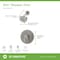 Symmons Elm Single Handle Wall Mount Shower Trim Kit (Valve Not Included) 5591STN15TRM - alternate 3