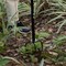 Gardenised 40-inch Comfortable Soft Grip Lawn Twist Tiller - Soil Aerating Tool for Lawn Care QI004782 - alternate 3