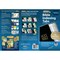 Tabbies BIBLE INDEXING TABS- MINI OT & NT, 80 GOLD-EDGED TABS, 1"L-1/4" EXT, 10 PKS/BX, 10PK 58342 - alternate 2