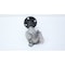 Pyco SENSOR 1232E11-G01-3A - alternate 4