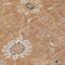Homeroots 5' X 8' Copper Ivory And Black Floral Washable Indoor Outdoor Area Rug 604756 - alternate 6